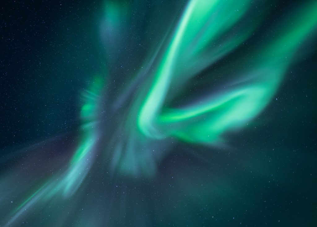 zorza polarna, gazela w laponii, norwegia