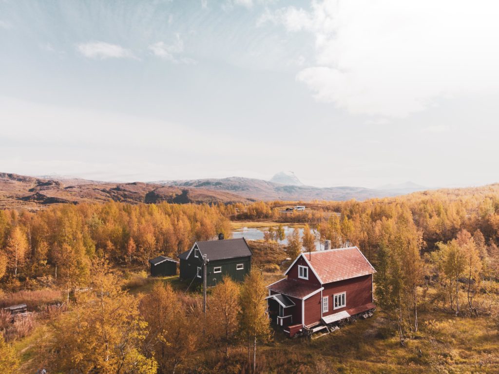 gazela w laponii, natura, bodø