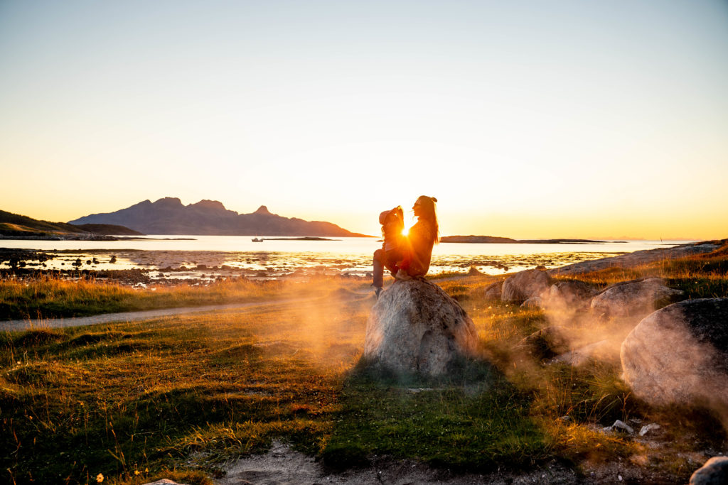gazela w laponii, natura, bodø
