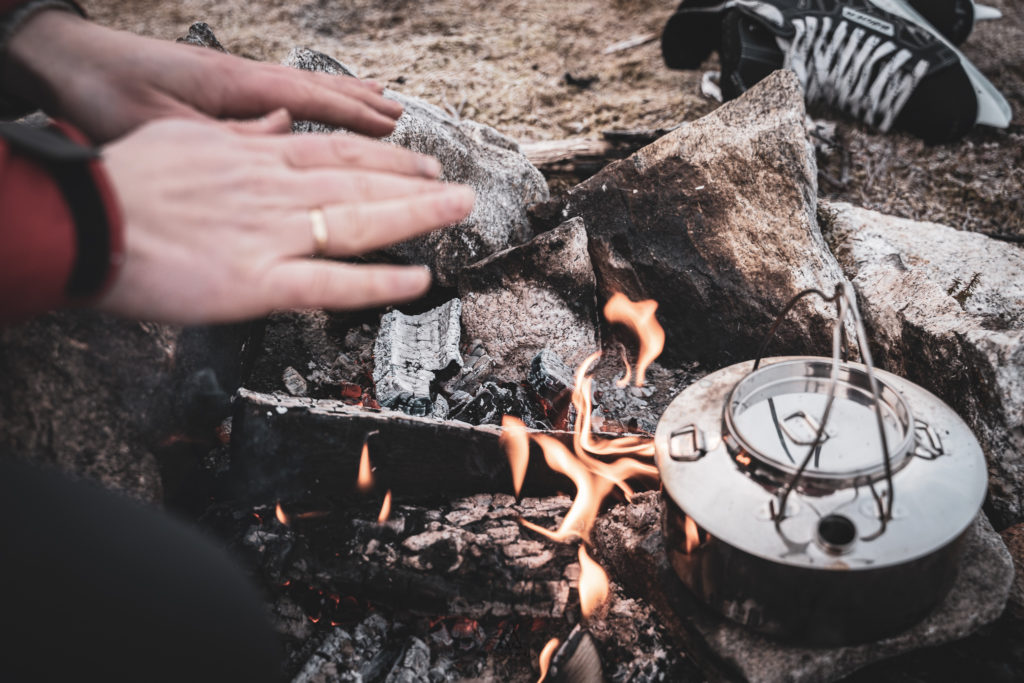 gazela w laponii, natura, bodø
