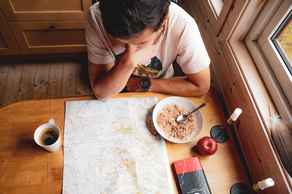 gazela w laponii, natura, bodø