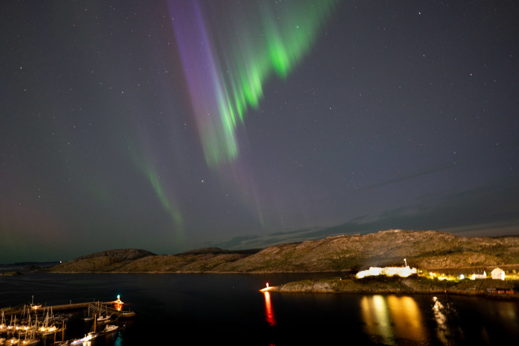 bodø, zorza polarna, gazela w laponii, norwegia